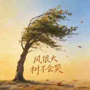 风很大 树不会哭