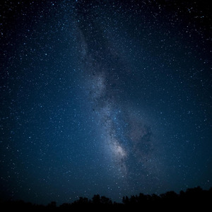 Echo Stillness ～静寂に反響する意識～