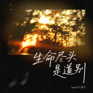 生命尽头是道别