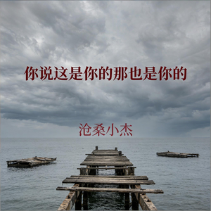 你说这是你的那也是你的(沧桑男版)