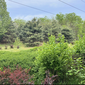 春日公园的晨昏朝暮