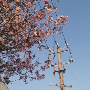 我喜欢的女孩子很干净