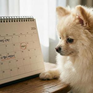 새해엔 다 이뤄지자