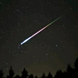葬星