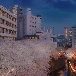 致姗姗来迟的你