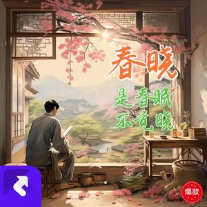 春晓，不觉晓 (电音版) (Remix)