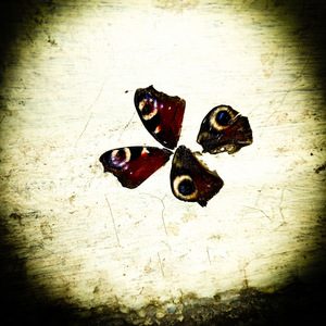 действительно смешно