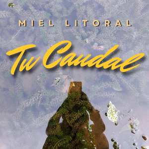 Tu Caudal