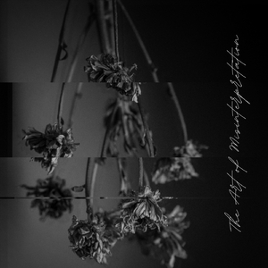 Vindication (feat. Daniel Pelton)