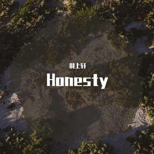 HONESTY
