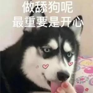 舔狗癌晚期 伴奏