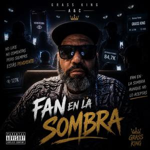 FAN EN LA SOMBRA