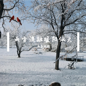 雨雪消融暖阳似火