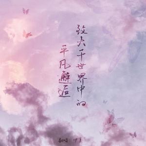 致大千世界中的平凡邂逅