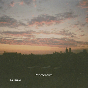 Momentum