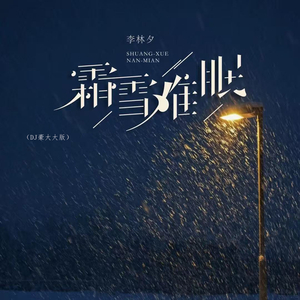 霜雪难眠 (DJ豪大大版)