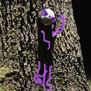 I Wasn't the Problem