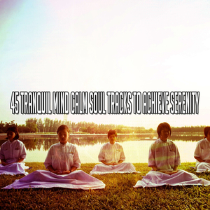 Brief Enclosing Peace