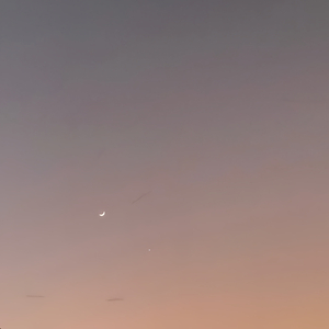 อยากจะขอ