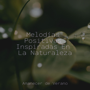 El Vals de la Unidad Melódica