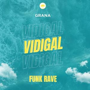 VIDIG4L (FUNK RAVE)
