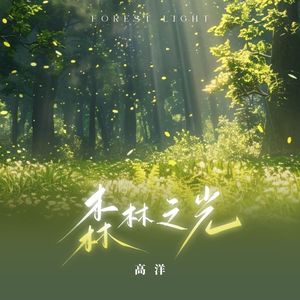 森林之光
