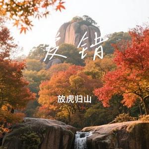 爱错（Cover 王力宏）