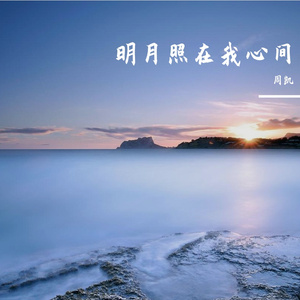 明月照在我心间