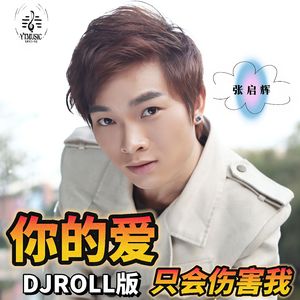 你的爱只会伤害我（DJROLL版）