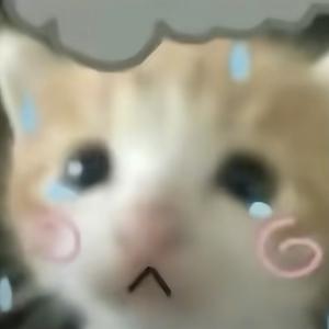 《不不不》