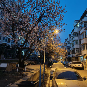 练习开口