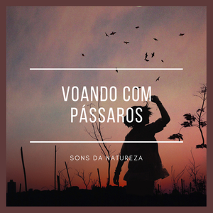 Voando Com Pássaros