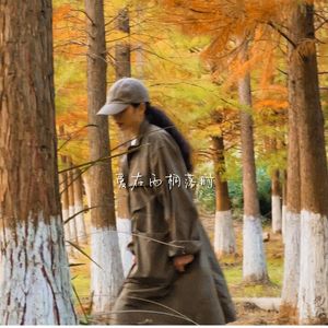 爱在梧桐落叶时