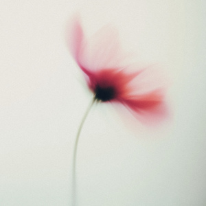 Aşkım (Instrumental)