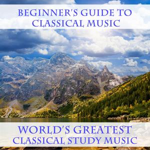 Concerto for Harpsichord and Orchestra No. 1 in D Minor, BWV 1052: III. Allegro