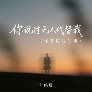 你说过无人代替我(你答应我的事)