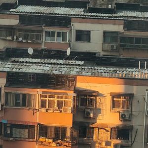 了表心意(翻自 薛之谦)