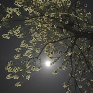 两地相思情更笃