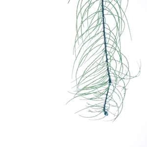 酒店流光大厅 (铃铛曲)