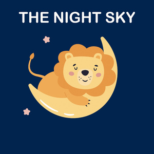 The Night Sky
