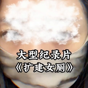 大型纪录片《扩建女厕》