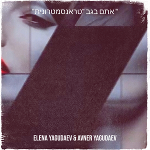 "אתם בגב "טראנסמטרונית "