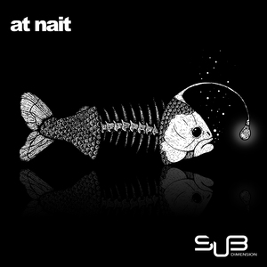 At Nait (Feat. Maenstrom)