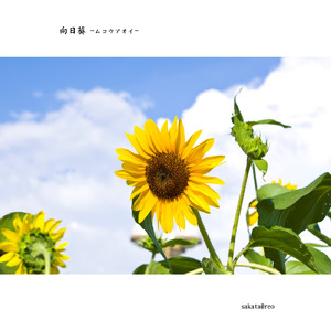 向日葵 -ムコウアオイ-