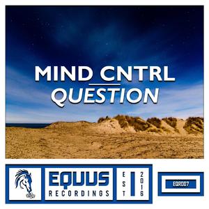 Question (Original Mix)