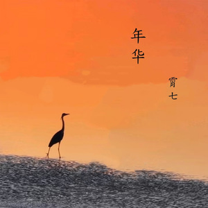 年华 (伴奏版)
