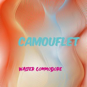 Camouflet