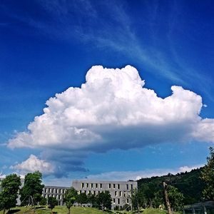 第三人称（翻自 Hush！）