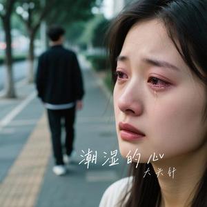 潮湿的心 (Cover 甘萍)