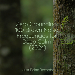 Echoes in Constant Flux